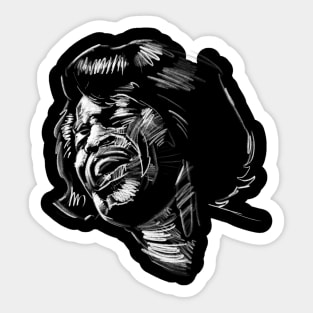 James Brown Sticker